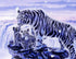 White Tigers DIY Painting Kit